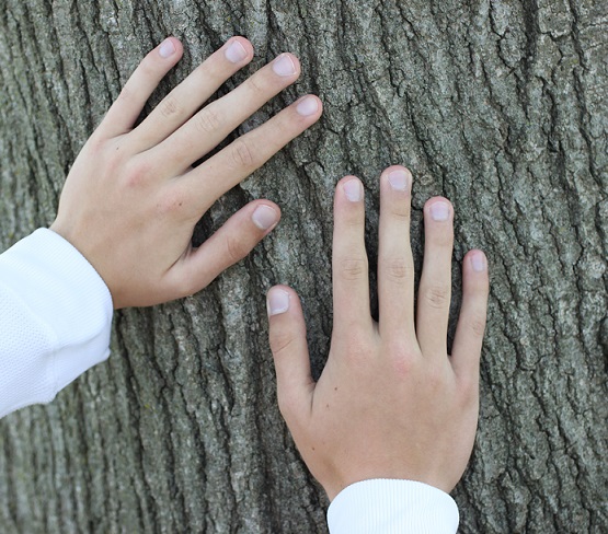 Hand Talent