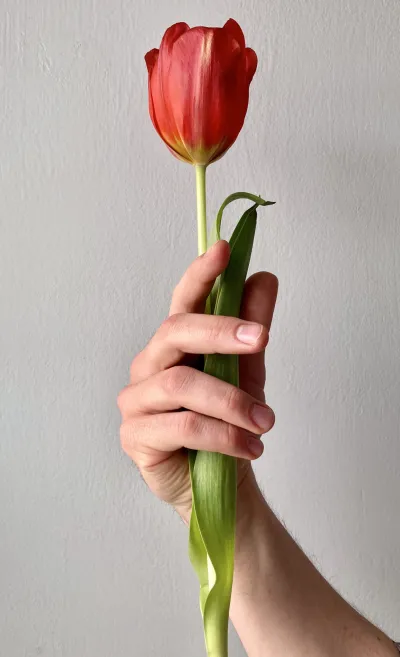 Talent Image